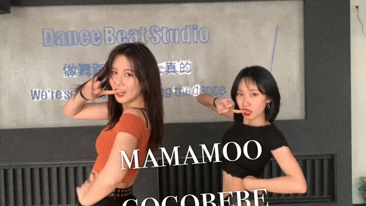 120斤与80斤同框合跳mamamoo-gogobebe！        太刺激啦！