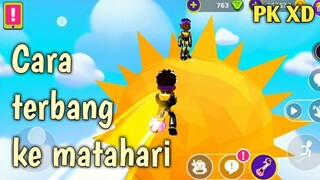 Cara terbang ke Matahari di PK XD Pet Festival