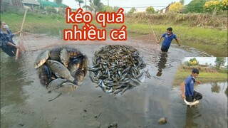Vợ chồng Tư kéo lưới vét ao cá không ngờ dính nhiều cá thế này