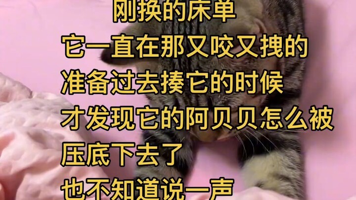 “Bahkan nggak bilang-bilang juga” Kucing: Baru aja ngomong, kamu malah nggak seneng!