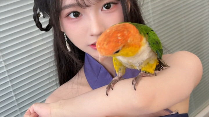 Tại sao không thể rời mắt vì bị khống chế cứng rồi