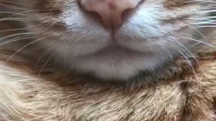 Does it look like your selfie?