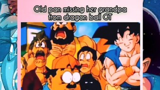 old pan in dbgt