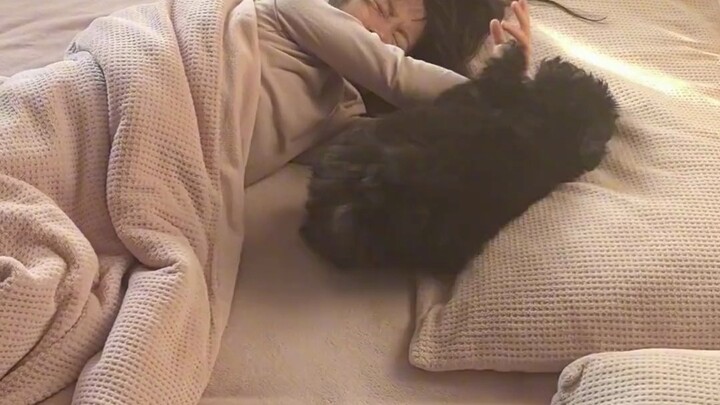 Ever since I got a puppy to wake me up, I’ve never been late again.