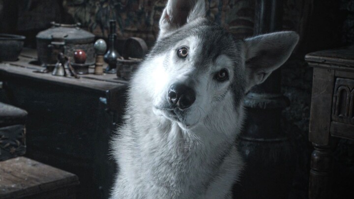 Jon Snow and Arya
