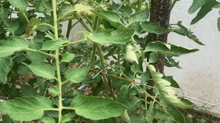 活在每个当下，认真走每一步，都是基于内心无比的热爱与认可