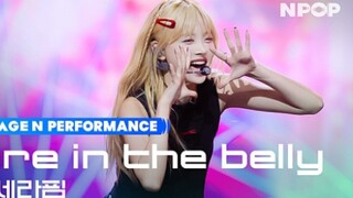 【LESSERAFIM】231109 Npop《Fire in the belly》打歌舞台！