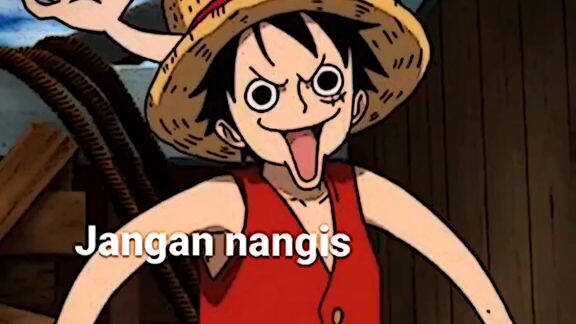 Buat yg lagi sedih, nih di semangatin ayang Luffy