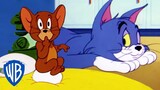 Tom & Jerry em Português | Brasil | Desenho Animado Clássico 115 | WB Kids