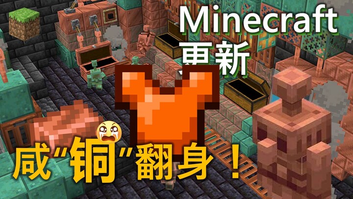 我的世界秋季更新！卧薪尝胆5年，重新介绍一下，我叫铜