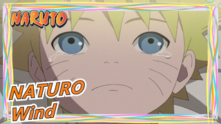 NATURO|A beautiful finger-picking adaptation of "Wind", which Naturo likes!