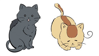 Animasi|"APH" Bagaimana Cara Mengetahui Kucing Negara Mana Itu