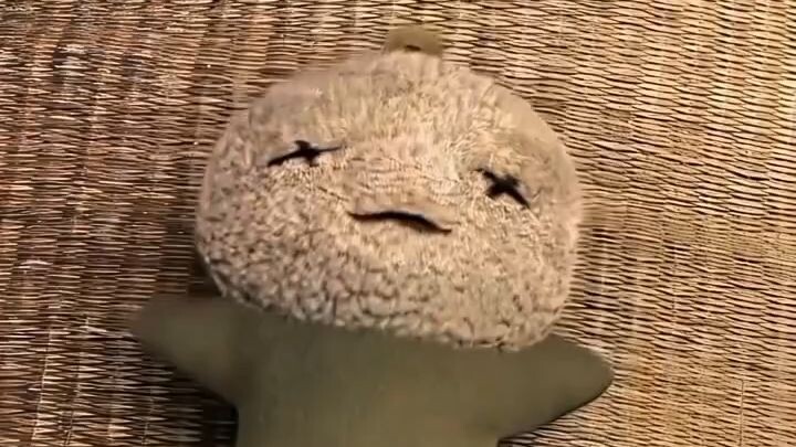 CJ 7