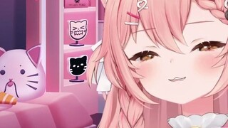 【Hiiro】Why are you teaching cats strange Chinese again?