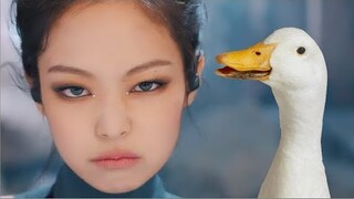 Kill This Love Nhưng Một Con Vịt Xóe Ra Hai Cái Cánh