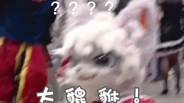 这个大貔貅好不聪明啊！！