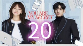 You Are My Secret ep 20 (sub indo)