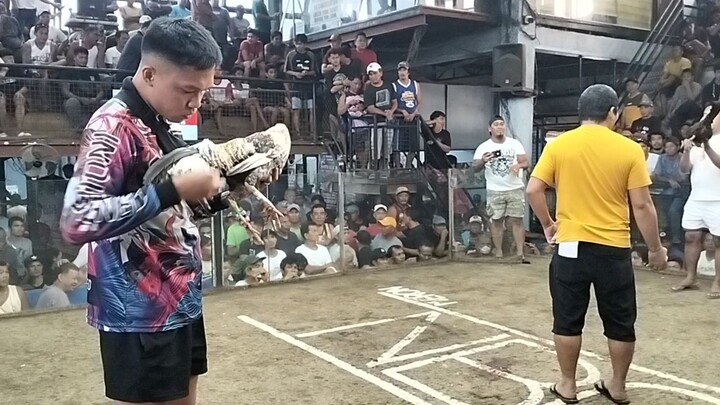 Bulik babalik talaga.