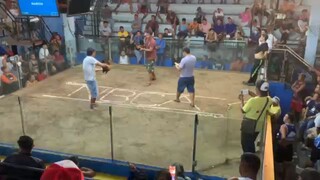 dalawa