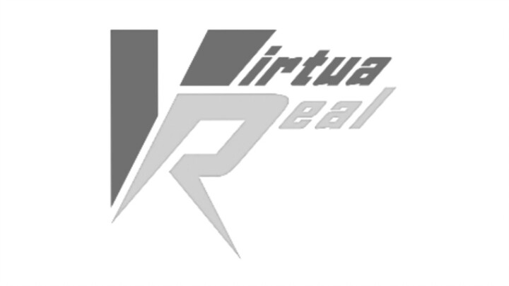 论VirtuaReal的公司规章制度