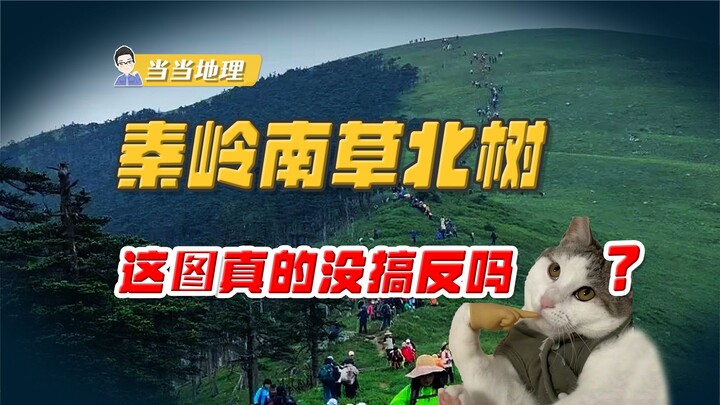 这张图真没搞反吗？秦岭两侧植被竟然是南草北树？【当当地理】