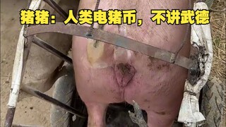 Chu Chu: Tiền điện tử của loài người, thật không biết giữ đạo đức chiến đấu