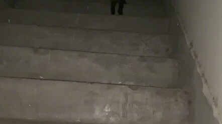 เจอแมวจรจัดบนชั้น 30 กว่า ผอมจนเหลือแต่กระดูก ฉันเองก็เลี้ยงมันไม่ไหวแล้ว แต่มันน่าสงสารมาก ทั้งตัวม