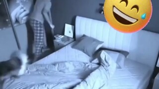 Mengganti anjing peliharaan dengan putra mahkota