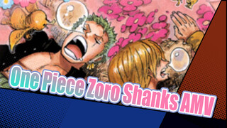 The Truth Is The Truth | Zoro Shanks