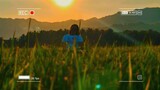 #jiabong Samar ricefield