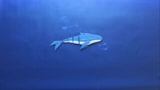 【Stop-motion Animation】Tears of the Sea