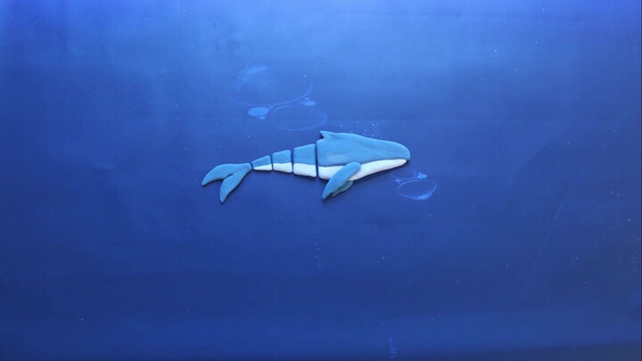 【Stop-motion Animation】Tears of the Sea