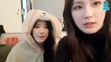 301220 늑대 와 라면