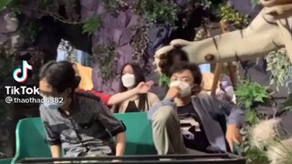 hảo =))))