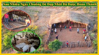 Bản Longole Tập 4 || Chuồng Dê Đẹp và To Nhất Trong Các Bản Đã Hoàn Thành Chuẩn Bị Đưa Vào Sử Dụng