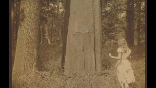 Weird Aesthetics - Alice in Wonderland (เวอร์ชั่นปี 1915 หรูหราและมีชีวิตชีวา มีความรู้สึกสับสนในเรื