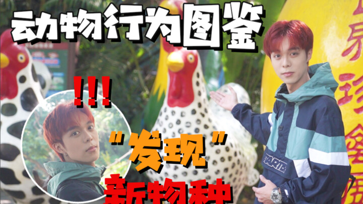 【วิดีโอบล็อกสวนสัตว์ป่า】พบ “สายพันธุ์ใหม่” ที่ไม่เคยเห็นมาก่อน?!