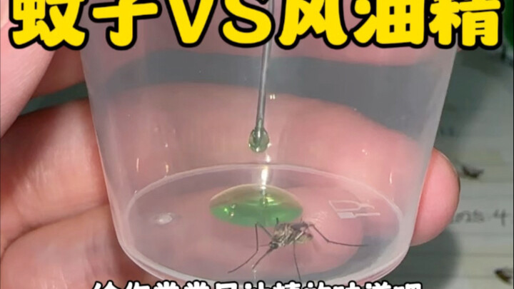 有趣