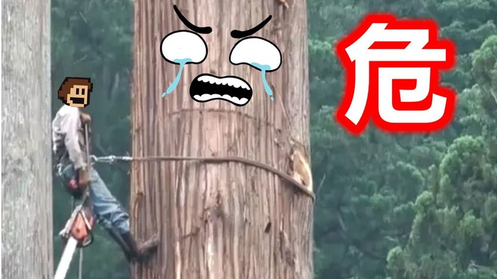这是什么光头强才能想出的陷阱？？？