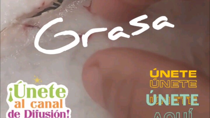 how do you say grease in Spanish & Portuguese? cómo se dice grasa en portugués?