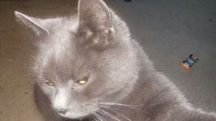 หวานเจี๊ยบ