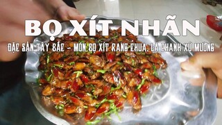 Vietnamcogi - Ăn bọ xít, món ngon Tây Bắc bọ xít rang chua lá chanh| Đặc sản Hòa Bình