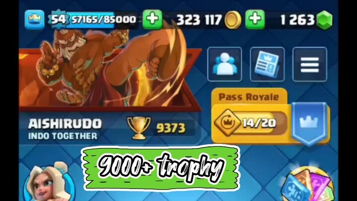 Clash Royale 9000+ trophy