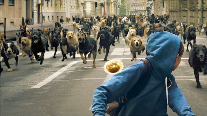 Dog King Gathers A 1000 Stray-Dog Army To Avenge On Humans