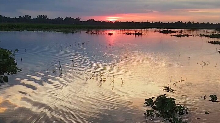 village Natural in Bangladesh