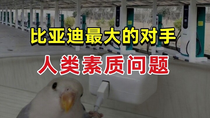 【JUMP】BYD’s Biggest Rival Is the Quality of Humanity