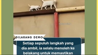 Ini benar-benar menghangatkan hati 🥹❤️