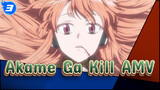 Akame Ga Kill AMV_3