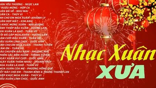 Nhạc Xuân Hải Ngoại Hay NGỌC LAN TUẤN VŨ NHƯ MAI LK Nhạc Xuân Xưa_ 46