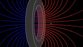 Animation vs. Physics